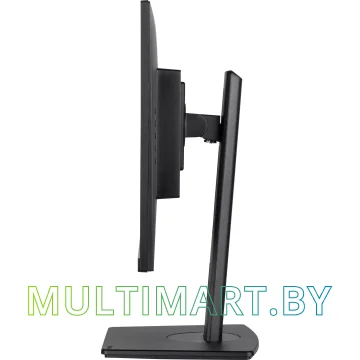 Монитор Iiyama ProLite XUB2492HSU-B6 картинка 5